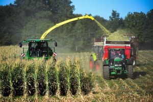 Canicule : juillet aux tisons, automne à l'inflation dans l’alimentation ?