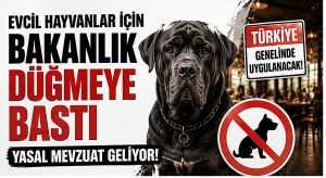 Restoran ve Kafelerde Evcil Hayvan Dönemi Kapanıyor