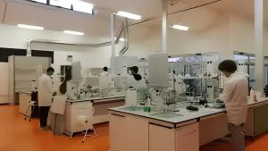 La prof attaccata al lavoro non voleva pensionarsi e il Tar suona la campanella