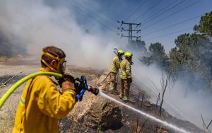 Fires force evacuations in northern community, West Bank settlement