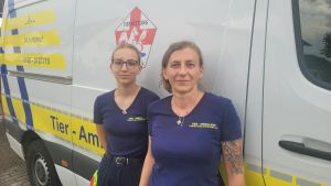 Todesfalle Auto und Gassigehen: Alles, was Tierbesitzer bei Hitze beachten müssen