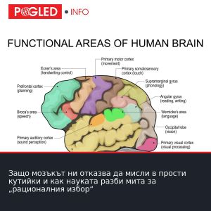 Защо мозъкът ни отказва да мисли в прости кутийки и как науката разби мита за „рационалния избор“