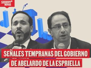 Las señales del Tigre. ¿Qué se puede anticipar del próximo Gobierno?