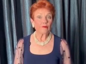 Bolt: Albo, the media must stop spreading ‘fake news’ on Hanson