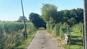 Alberi caduti e black-out: il maltempo si abbatte sulla Bassa padovana