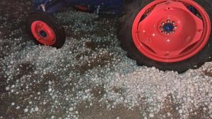 Raccolti, frutteti e capannoni mitragliati dalla grandine. ‘Noi agricoltori, in balia del clima folle’