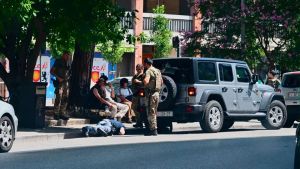 Controlli antidroga in Borgo stazione a Udine: passati al setaccio alberi e tombini