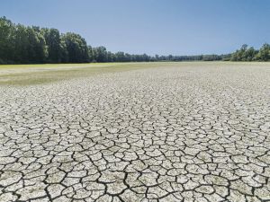 Sécheresse : pourquoi la loi d’urgence agricole risque de mettre la France à sec