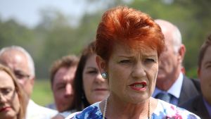 Acting The Goose: Pauline Hanson’s Tour Of Blighty – OpEd