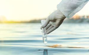 Our poisoned chalice