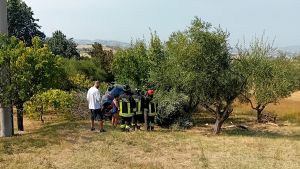 Giovane va fuori strada con l’auto. Si ribalta nel campo di ulivi