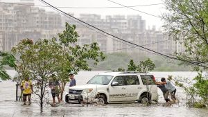 “Mid-Day Opinion: Everything is back to normal”