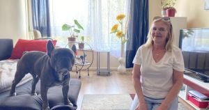 City Hall considers scrapping pet ban... as tenants admit to ignoring rule for years