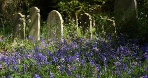 Controversial grave tagging looms for city's historic cemetery