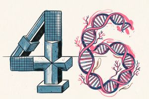Cuarenta y seis, por Gisela Ortega