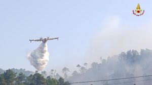 Quattro giorni di battaglia contro l’incendio. È ancora caccia al piromane