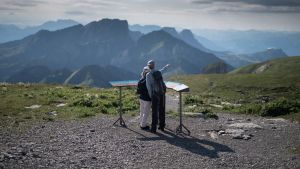 Mehr Bauch wagen! Warum wir unserem Gespür öfter vertrauen sollten