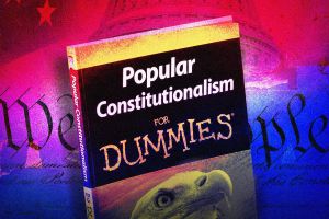 Taking Back Your Democracy for Dummies