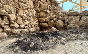 Rare well-preserved Iron Age wood offers evidence of First Temple’s destruction in Jerusalem