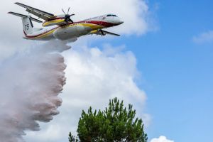 Incendies : plusieurs centaines de pompiers luttent contre des feux en Corse et dans le Var