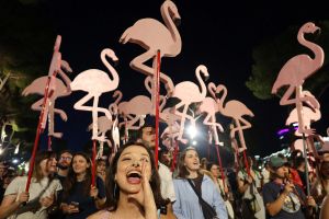 Flamingos Against Autocrats