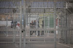 Des crocodiles aux abords des prisons ? La dernière trouvaille d’Israël contre les prisonniers palestiniens