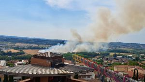 Incendio alla Rosa di Terricciola: a rischio la rete idrica della Valdera