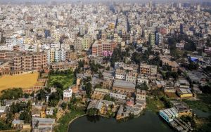 Bangladesh needs a national movement to care for trees