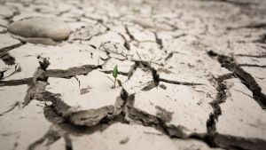 Warum der Glaube an den Klimakollaps gefährlicher ist als Klimawandel-Leugnung
