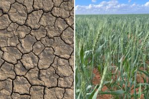 Think you understand drought?