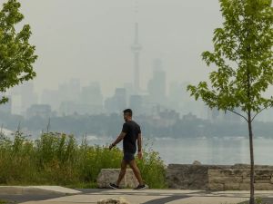 Opinion: Risk is the price of progress