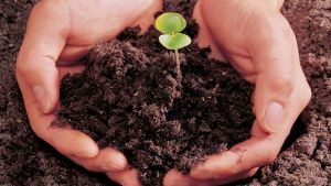When “Values” Become an Instrument of Power