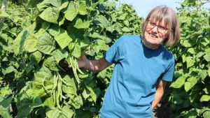 Bohnanza auf der Bodenseeinsel: Renate Okle kämpft mit Wetter, Wanzen und anderen Widersachern
