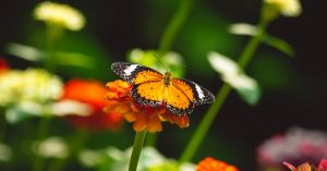 Expanding Our Sense of Change