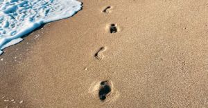 What Is Your Psychological Footprint?