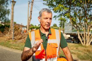 [Vidéo] Premier arbre abattu dans les Pyrénées-Atlantiques : qu’est-ce que le nématode du pin ?