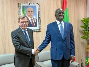 Afrika: Vorfahrt für die deutsche Wirtschaft