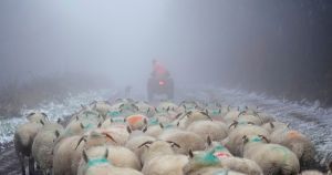 Плащам си, защото съм приличен