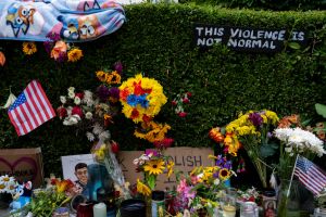 Homan: ICE killings will continue until the public stops resisting