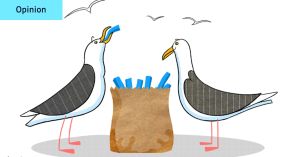 I earn $80,000 a year in dividends. Should I reinvest, or add it to my super?