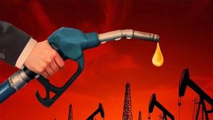 Petrol yükseliyor, peki hangi emtia fonu?