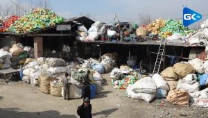Environmental Necessity, Economic Opportunity