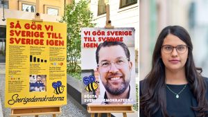 SD har skrämt min kommun till tystnad