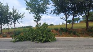 Panico da grandine, scatta parcheggio selvaggio