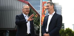 View from The Hill: Labor’s Andrew Charlton surfs the AI wave