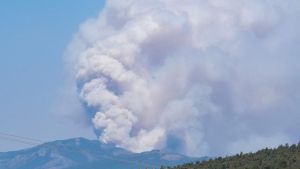 Incendios forestales, en directo: La superficie quemada en España se duplica en dos semanas y roza ya las 120.000 hectáreas este año