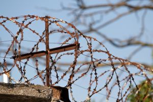 Opinion – The Human Cost of Migration Deterrence in Egypt