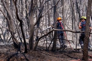 Plus de 900 pompiers mobilisés, 2 550 hectares parcourus : l’incendie dans le Var « contenu » mais « encore de nombreux points chauds »