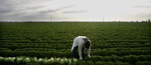 Republicans Promised To Put America First, Instead They’ve Betrayed Everyone For Money From Massive Agriculture Donors