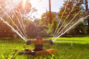 La prochaine campagne doit placer l’environnement au cœur des priorités